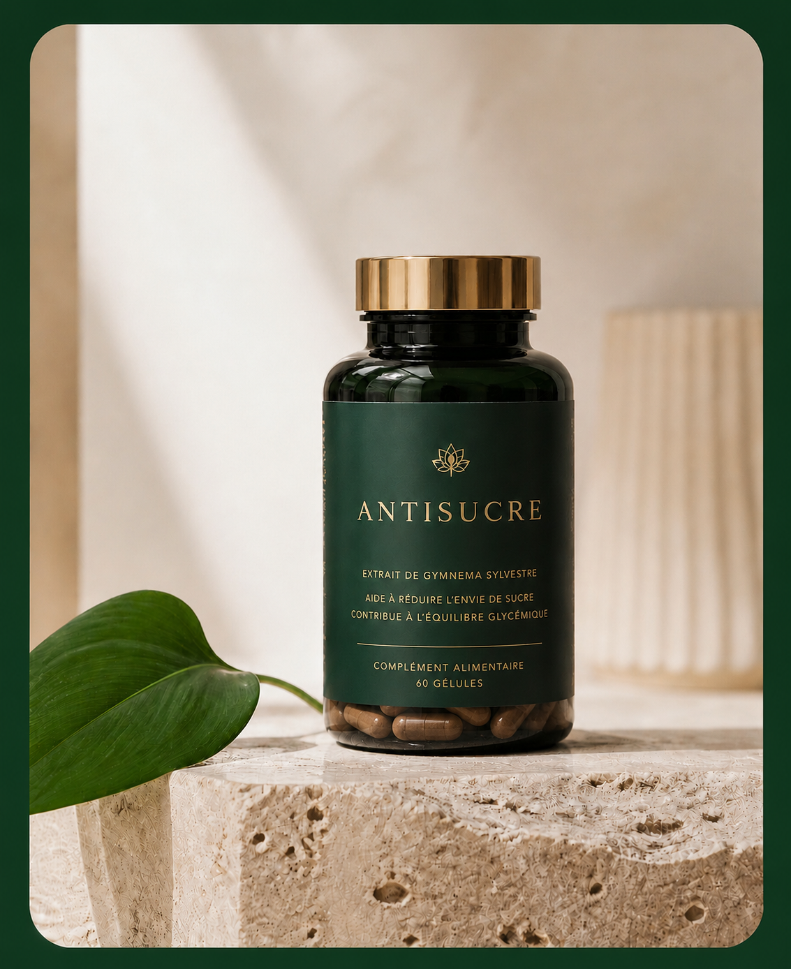 Flacon d'extrait de Gymnema Sylvestre Antisucre.